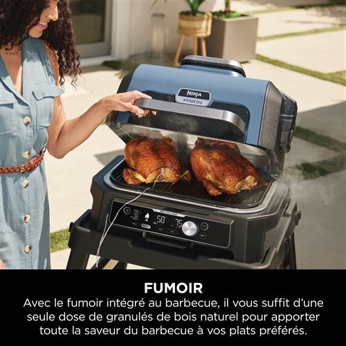 Ninja Woodfire Pro Connect OG901EU Electric Grill and Smoker