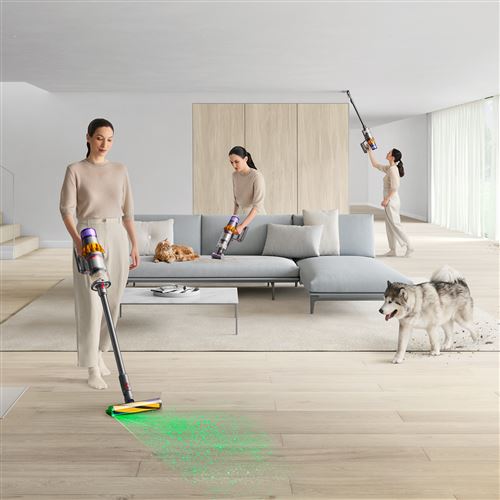 Staubsauger Dyson V15 Detect Absolute Grau und Violett